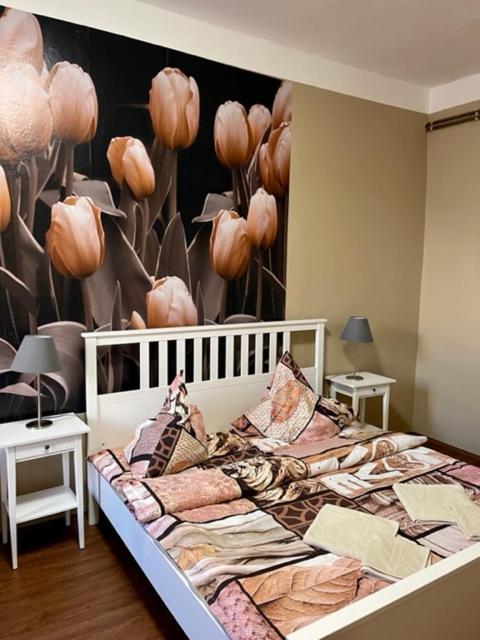 Apartman Galerie Decin Exterior photo