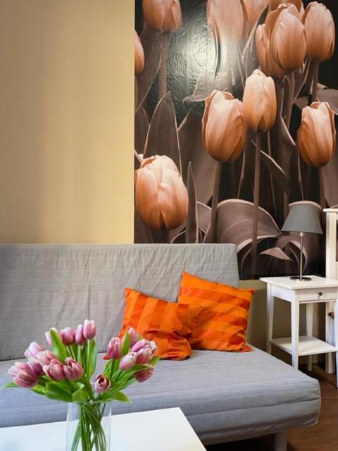 Apartman Galerie Decin Exterior photo